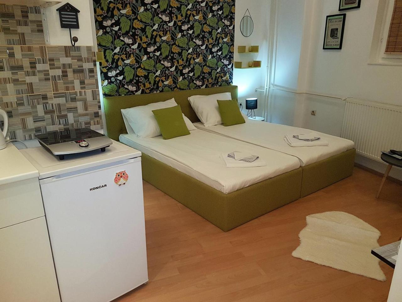 Apartman Centar Apartment นิส ภายนอก รูปภาพ